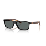 ARNETTE AN4185 - 227381 SLICKSTER