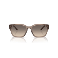 ARNETTE AN4325 - 290613 HAMIE