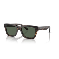 ARNETTE AN4334 - 122271 COLD HEART 2.0