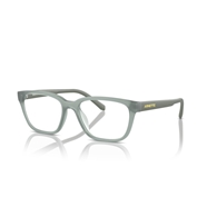 ARNETTE AN7250U - 2939 PHEOBE