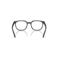 ARNETTE AN7263 - 2967 LINES