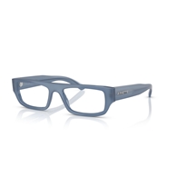 ARNETTE AN7273 - 1248 PHENO