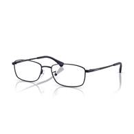 EMPORIO ARMANI EA1169D - 3160