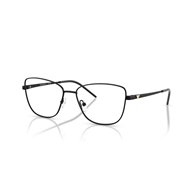 EMPORIO ARMANI EA1172 - 3001