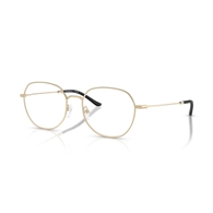 EMPORIO ARMANI EA1174D - 3013