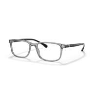 EMPORIO ARMANI EA3098 - 5029