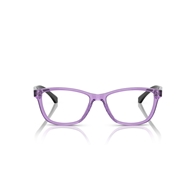 EMPORIO ARMANI EA3099 - 6197