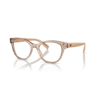 EMPORIO ARMANI EA3162 - 5850