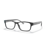 EMPORIO ARMANI EA3179 - 5875