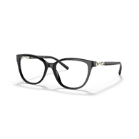 EMPORIO ARMANI EA3190 - 5001
