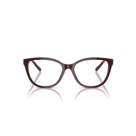 EMPORIO ARMANI EA3190 - 5576