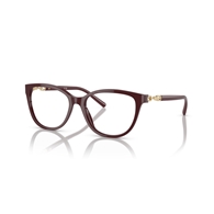EMPORIO ARMANI EA3190 - 5576