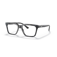 EMPORIO ARMANI EA3194 - 5310