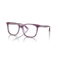 EMPORIO ARMANI EA3228 - 6056