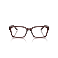 EMPORIO ARMANI EA3244 - 6174