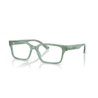 EMPORIO ARMANI EA3244 - 6176