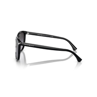 EMPORIO ARMANI EA4060 - 50178G