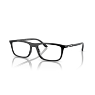 EMPORIO ARMANI EA4160 - 50011W