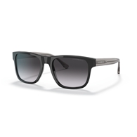 EMPORIO ARMANI EA4163 - 58758G