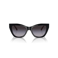 EMPORIO ARMANI EA4176 - 50178G