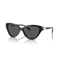 EMPORIO ARMANI EA4192 - 501787