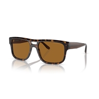 EMPORIO ARMANI EA4197 - 587983