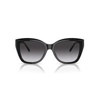 EMPORIO ARMANI EA4198 - 50178G