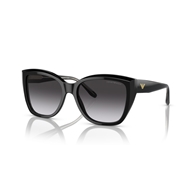 EMPORIO ARMANI EA4198 - 50178G