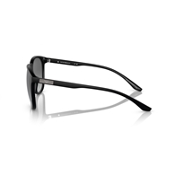 EMPORIO ARMANI EA4210 - 500111