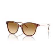 EMPORIO ARMANI EA4220 - 61103B