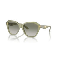 EMPORIO ARMANI EA4221 - 61168E