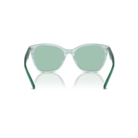 EMPORIO ARMANI EA4222U - 611271
