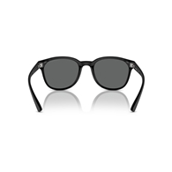 EMPORIO ARMANI EA4225U - 500187