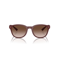 EMPORIO ARMANI EA4225U - 610113