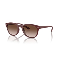 EMPORIO ARMANI EA4225U - 610113