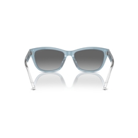 EMPORIO ARMANI EA4227U - 609611