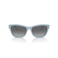 EMPORIO ARMANI EA4227U - 609611
