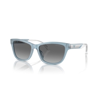 EMPORIO ARMANI EA4227U - 609611