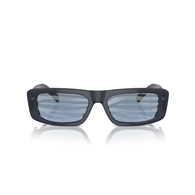 EMPORIO ARMANI EA4229U - 6120AM