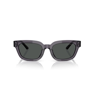 EMPORIO ARMANI EA4233U - 610687