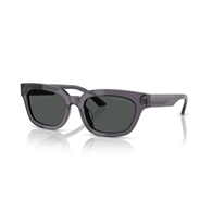 EMPORIO ARMANI EA4233U - 610687