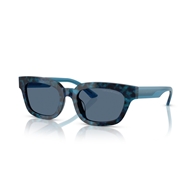 EMPORIO ARMANI EA4233U - 618080