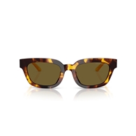 EMPORIO ARMANI EA4233U - 618173