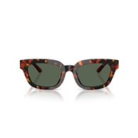 EMPORIO ARMANI EA4233U - 618271