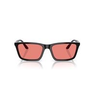 EMPORIO ARMANI EA4239U - 501784