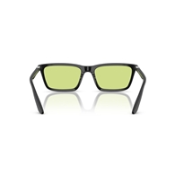 EMPORIO ARMANI EA4239U - 5017/2