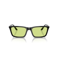 EMPORIO ARMANI EA4239U - 5017/2