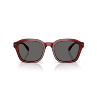 EMPORIO ARMANI EA4245U - 624887