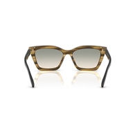 EMPORIO ARMANI EA4250U - 62672C