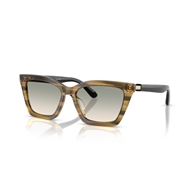 EMPORIO ARMANI EA4250U - 62672C